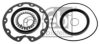FEBI BILSTEIN 02436 Gasket Set, planetary gearbox